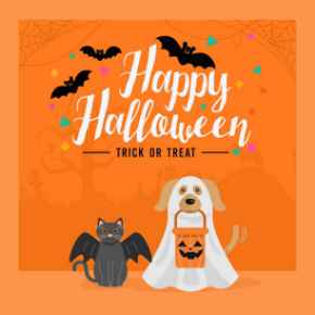 Picture for category Halloween